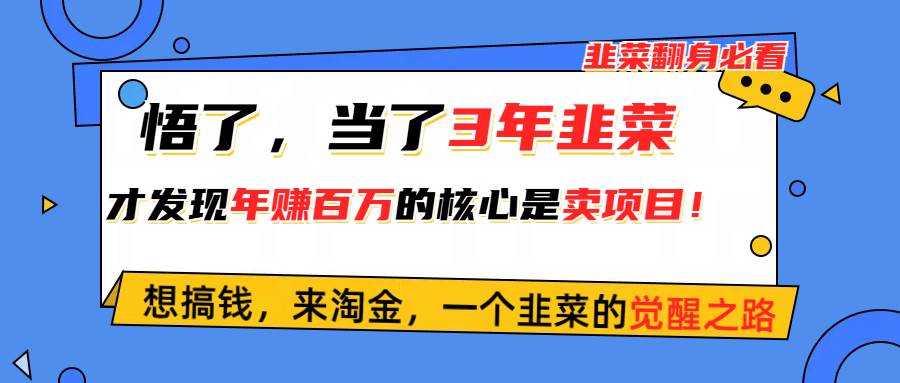 悟了，当了3年韭菜，才发现网赚圈年赚100万的核心是卖项目，含泪分享！-无忧资源网