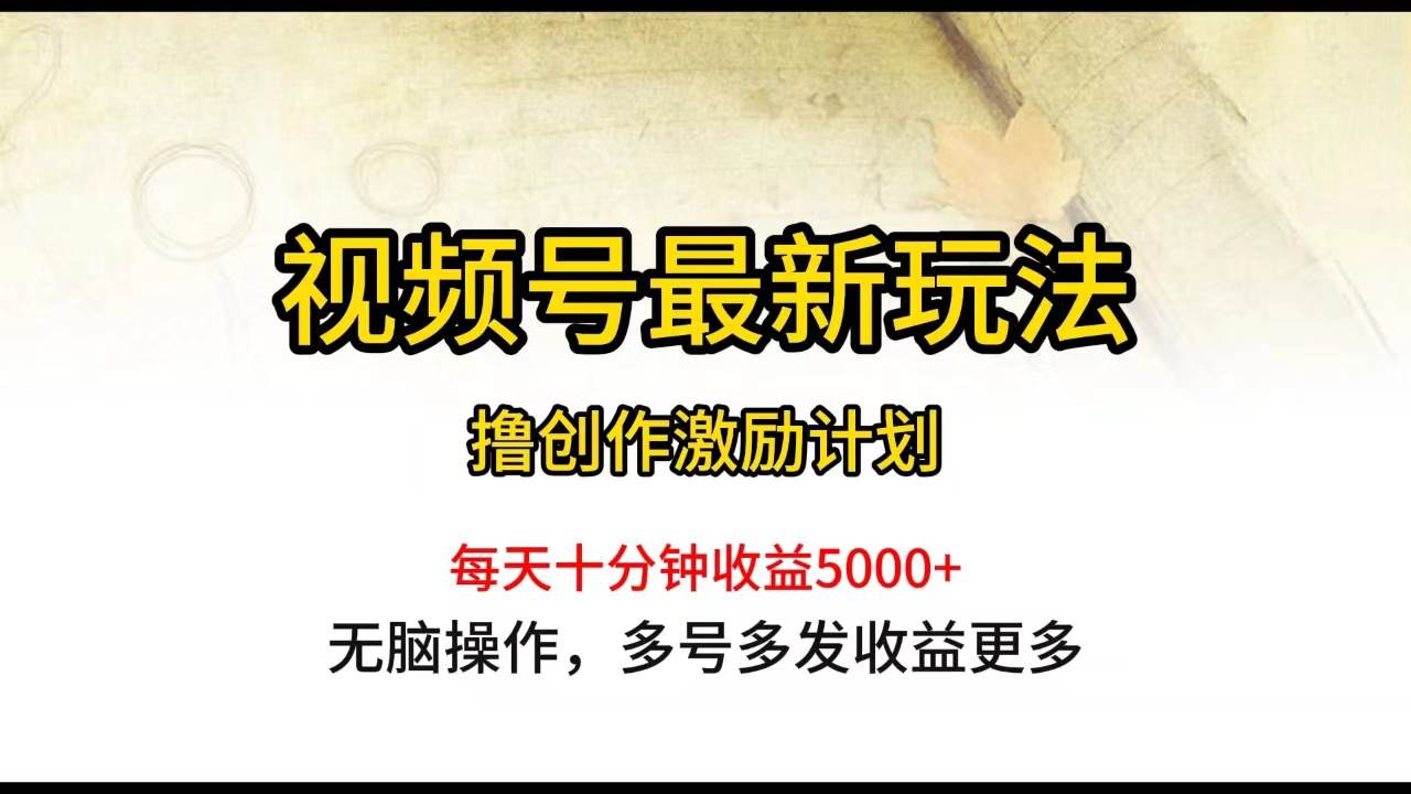 视频号最新玩法,每日一小时月入5000+-无忧资源网