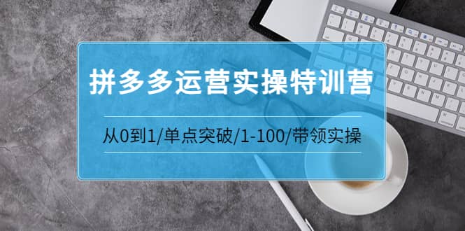 拼多多运营实操特训营:从0到1/单点突破/1-100/带领实操 价值2980元-无忧资源网