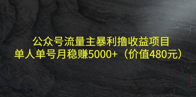 公众号流量主暴利撸收益项目,单人单号月稳赚5000+(价值480元)-无忧资源网