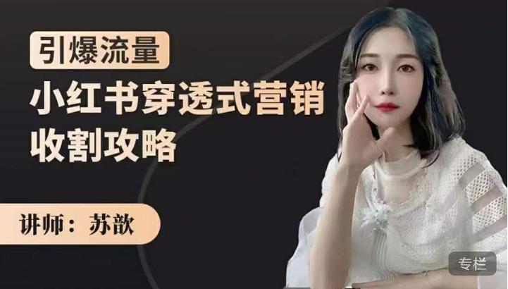 小红书穿透式营销收割攻略，引爆流量，助你玩转小红书-无忧资源网