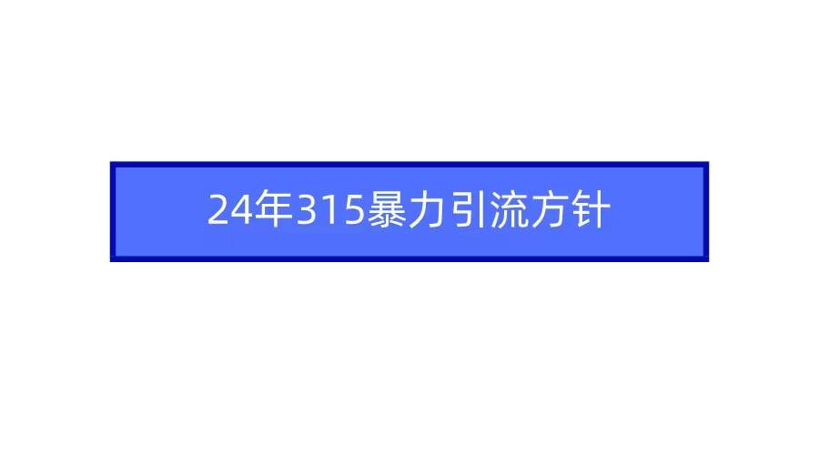 2024年315暴力引流方针-无忧资源网