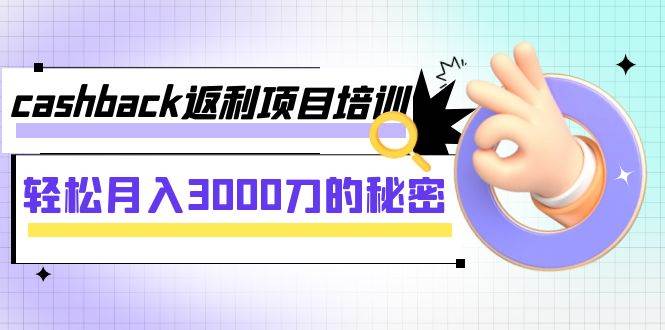 cashback返利项目培训：轻松月入3000刀的秘密（8节课）-无忧资源网