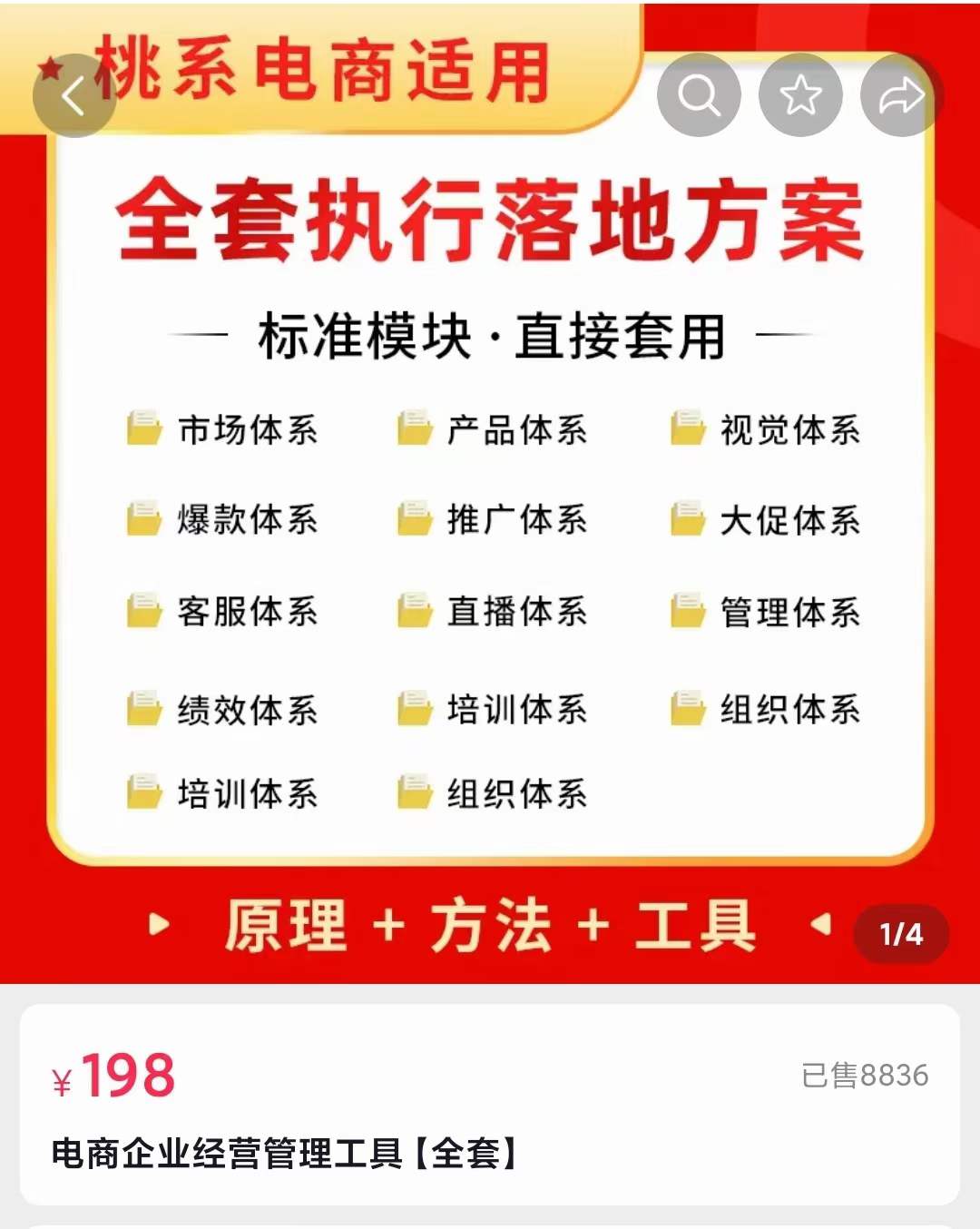 外面卖198·电商企业经营管理工具:全套执行落地方案 标准模块·直接套用-无忧资源网