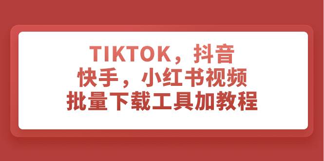 TIKTOK，抖音，快手，小红书视频批量下载工具加教程-无忧资源网