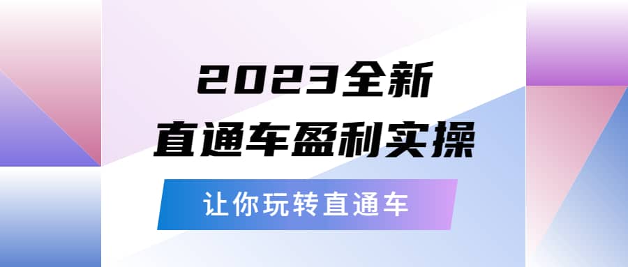 2023全新直通车·盈利实操:从底层,策略到搭建,让你玩转直通车-无忧资源网