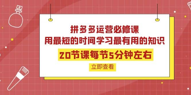 拼多多运营必修课：20节课每节5分钟左右，用最短的时间学习最有用的知识-无忧资源网