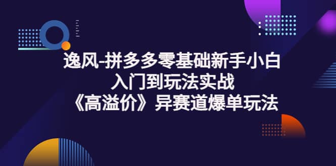 拼多多零基础新手小白入门到玩法实战《高溢价》异赛道爆单玩法实操课-无忧资源网