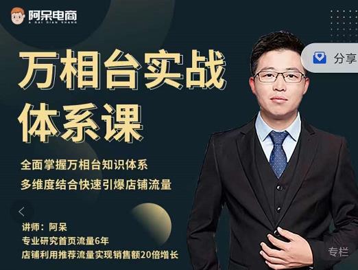 阿呆-万相台实战体系课,帮您全面掌握万相台知识体系-无忧资源网
