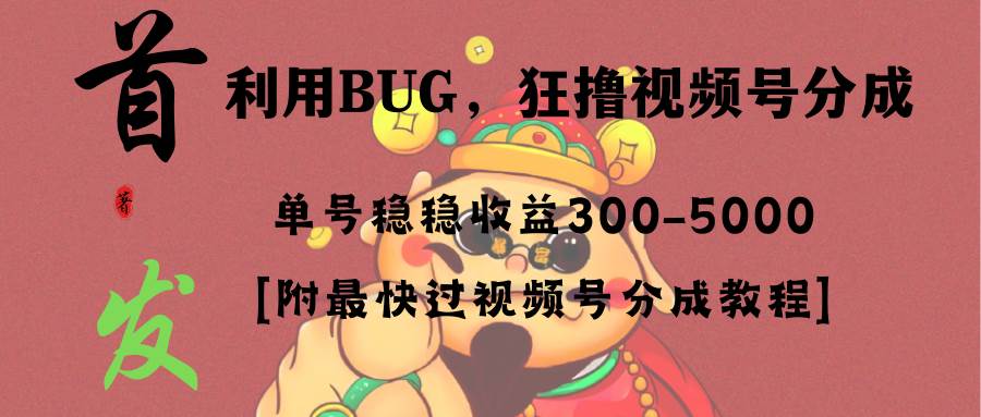 全网独家首发，视频号BUG，超短期项目，单号每日净收益300-5000！-无忧资源网