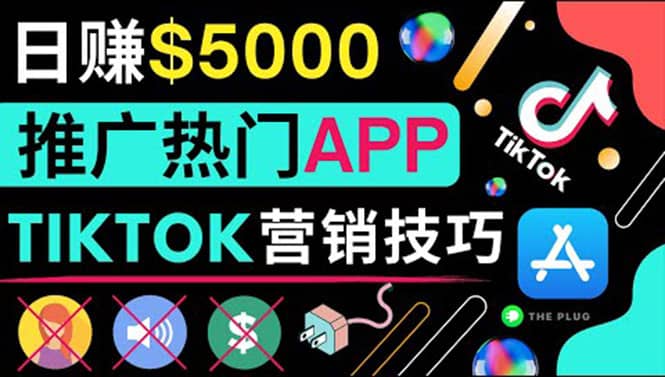无需露脸，无需录音，无需投资，TIKTOK上传短视频，最高日入5000美元-无忧资源网