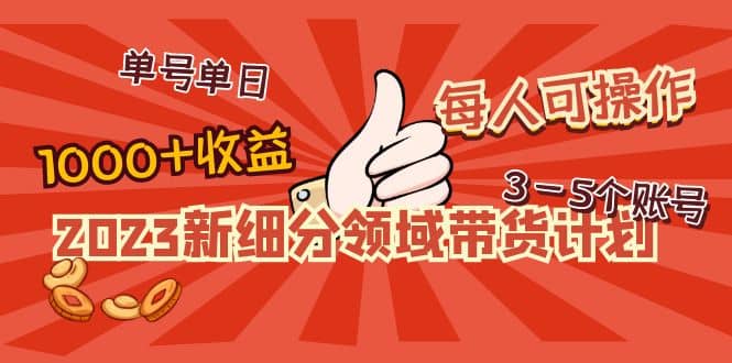 2023新细分领域带货计划：单号单日1000+收益不难，每人可操作3-5个账号-无忧资源网