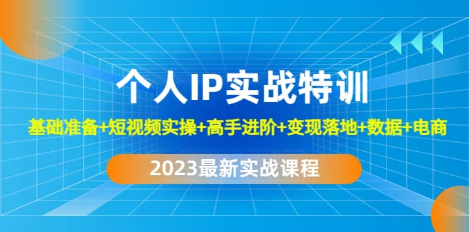 2023个人IP实战特训：基础准备+短视频实操+高手进阶+变现落地+数据+电商-无忧资源网