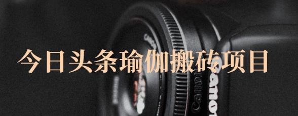 猎人社区·今日头条瑜伽搬砖项目,单号一天几十收入,可以批量操作!-无忧资源网