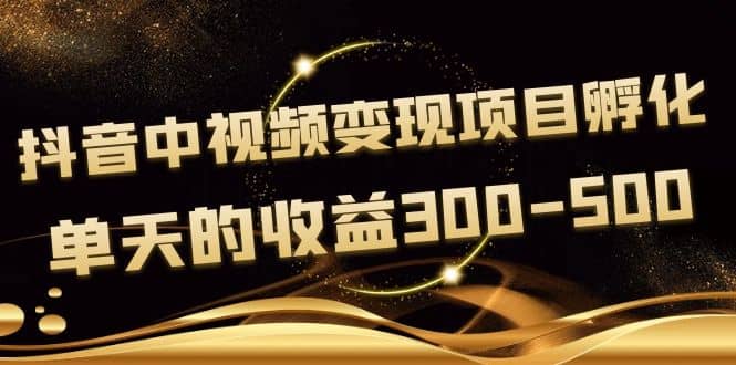 黄岛主《抖音中视频变现项目孵化》单天的收益300-500 操作简单粗暴-无忧资源网