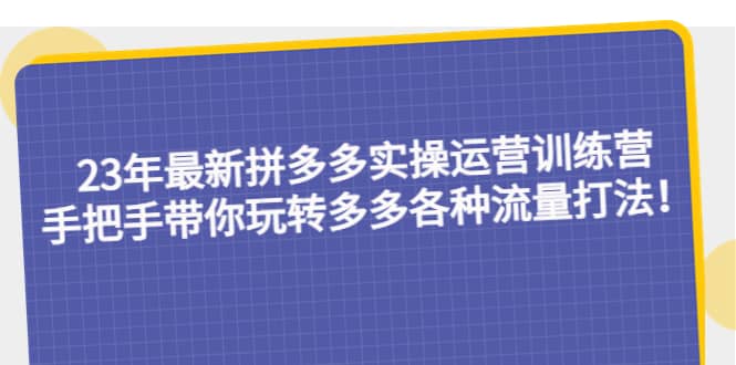 23年最新拼多多实操运营训练营：手把手带你玩转多多各种流量打法！-无忧资源网