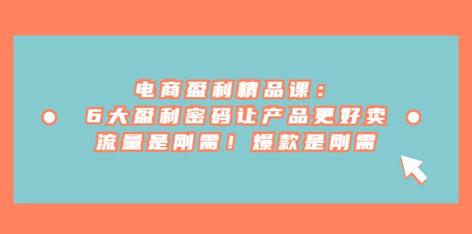 电商 盈利精品课：6大盈利 密码让产品更好卖，流量是刚需！爆款是刚需-无忧资源网