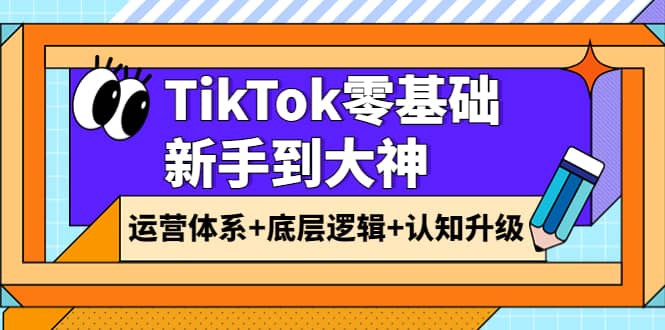 TikTok零基础新手到大神：运营体系+底层逻辑+认知升级（9节系列课）-无忧资源网