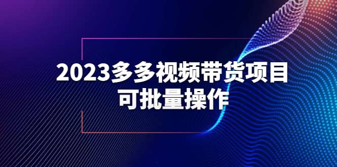 2023多多视频带货项目,可批量操作【保姆级教学】-无忧资源网