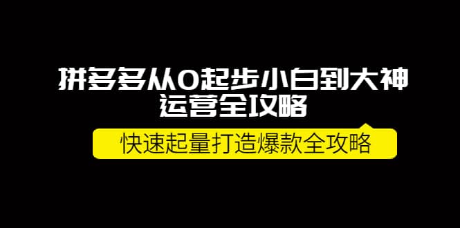 拼多多从0起步小白到大神运营全攻略-无忧资源网
