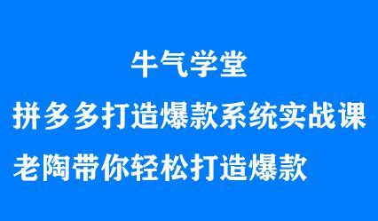 牛气学堂拼多多打造爆款系统实战课,老陶带你轻松打造爆款-无忧资源网
