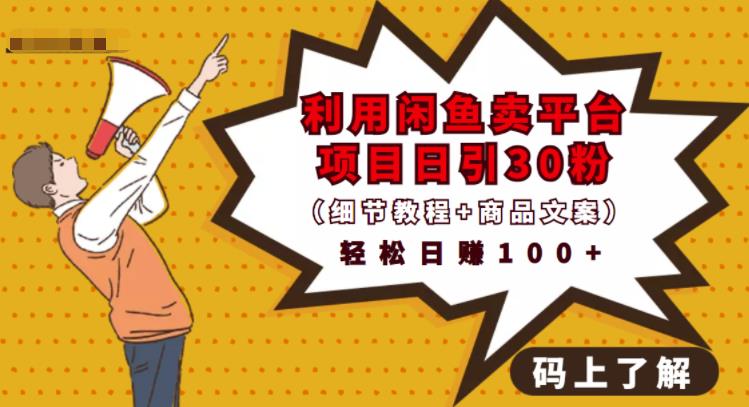 利用闲鱼卖平台项目课程资源日引流30+精准粉丝，轻松日赚100+，积累人脉可实现二次变现（细节教程+商品文案）-无忧资源网
