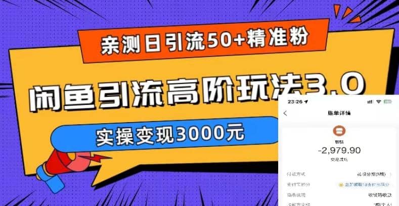 实测日引50+精准粉，闲鱼引流高阶玩法3.0，实操变现3000元-无忧资源网