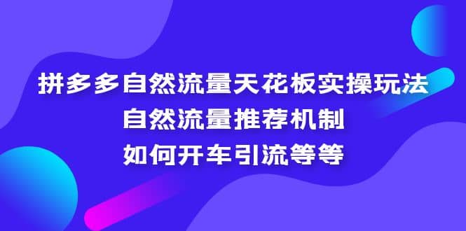 拼多多自然流量天花板实操玩法：自然流量推荐机制，如何开车引流等等-无忧资源网