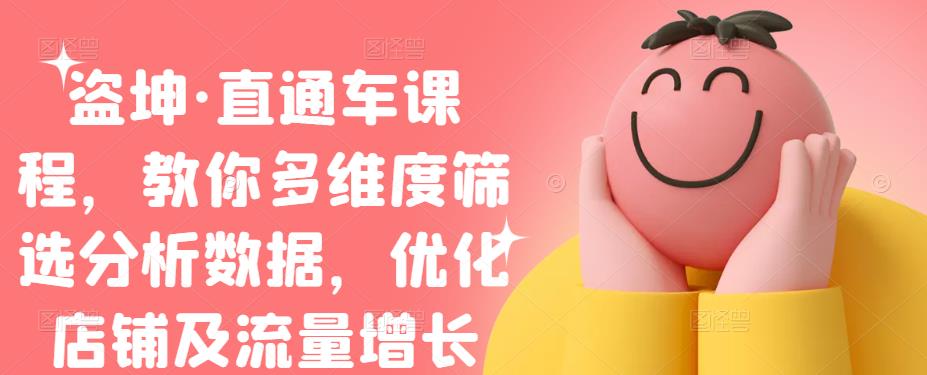 盗坤·直通车课程,教你多维度筛选分析数据,优化店铺及流量增长-无忧资源网