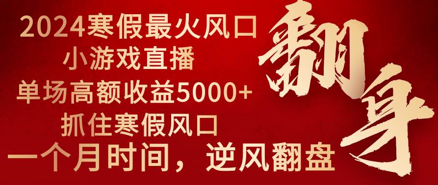2024年最火寒假风口项目 小游戏直播 单场收益5000+抓住风口 一个月直接提车-无忧资源网