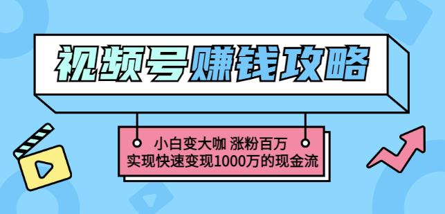 玩转微信视频号赚钱：小白变大咖涨粉百万实现快速变现1000万的现金流-无忧资源网