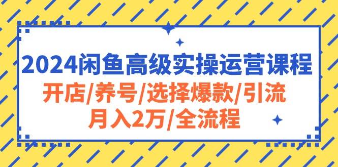 2024闲鱼高级实操运营课程：开店/养号/选择爆款/引流/月入2万/全流程-无忧资源网