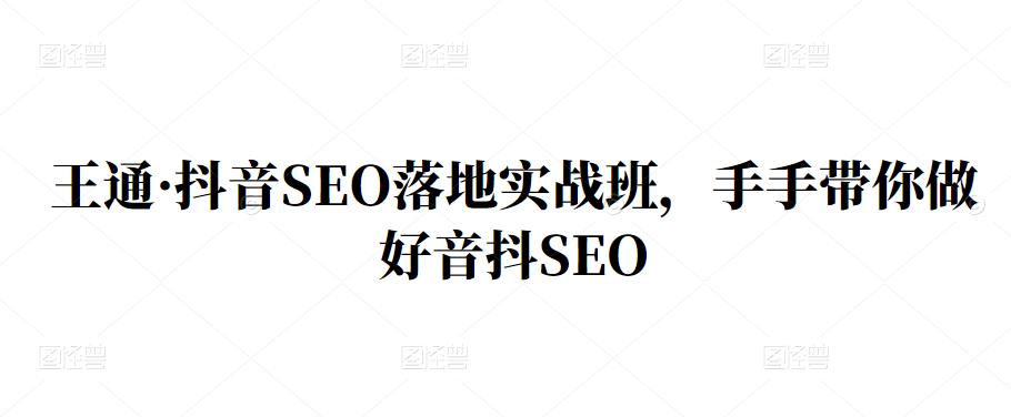 王通·抖音SEO落地实战班,手手带你做好音抖SEO-无忧资源网