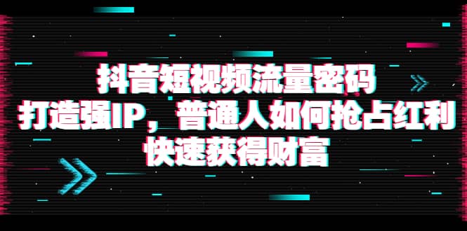 抖音短视频流量密码：打造强IP，普通人如何抢占红利，快速获得财富-无忧资源网