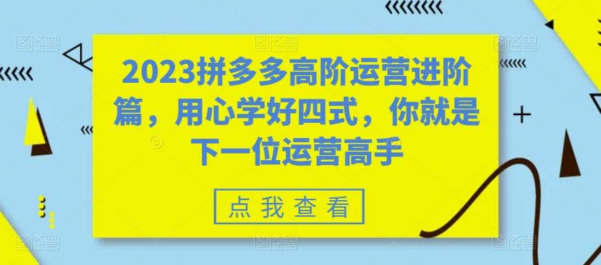 2023拼多多高阶运营进阶篇,用心学好四式,你就是下一位运营高手-无忧资源网