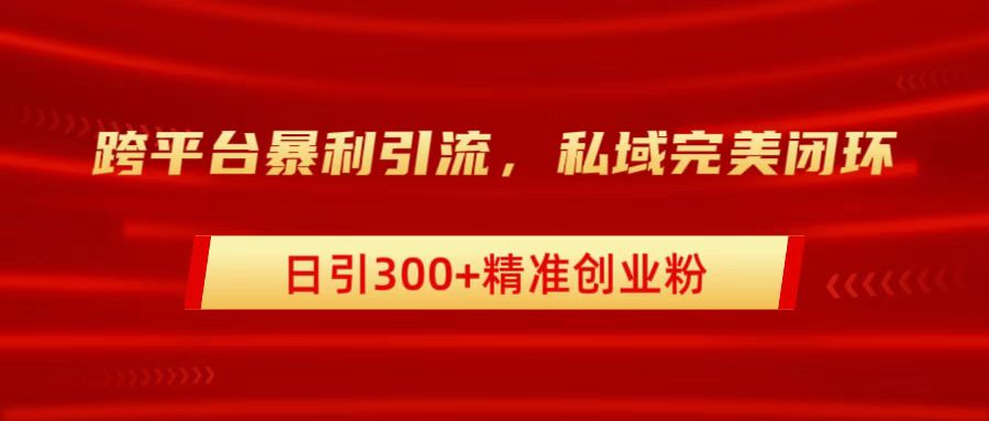 跨平台暴力引流,私域完美闭环,日引300+精准创业粉-无忧资源网