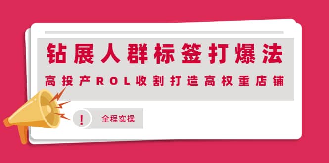 钻展人群标签打爆法，高投产ROL收割打造高权重店铺(全程实操)-无忧资源网