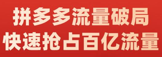 阿杰·拼多多流量破局:如何打黑标,爆款的思路,拼多多流量框架,快速抢占百亿流量-无忧资源网