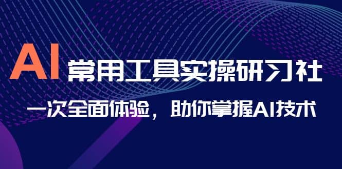 AI-常用工具实操研习社,一次全面体验,助你掌握AI技术-无忧资源网