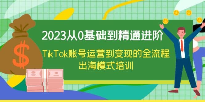2023从0基础到精通进阶，TikTok账号运营到变现的全流程出海模式培训-无忧资源网