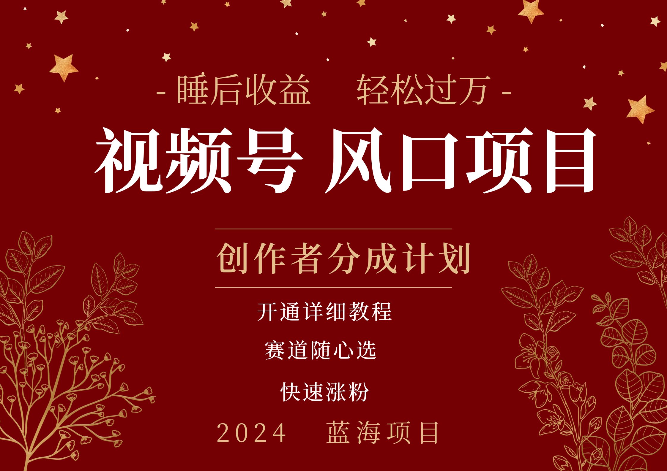 拥有睡眠收益的微信视频号大风口项目,轻松月入过万+,多赛道选择,可矩阵,玩法简单轻松上手-无忧资源网
