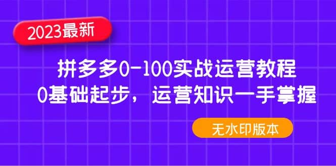 2023拼多多0-100实战运营教程，0基础起步，运营知识一手掌握（无水印）-无忧资源网
