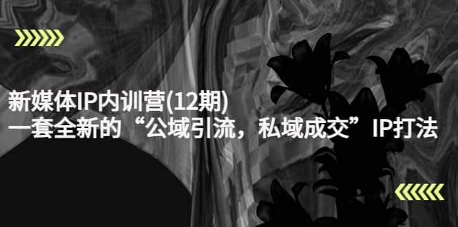 新媒体IP内训营(12期)，一套全新的“公域引流，私域成交”IP打法，直接带走-无忧资源网