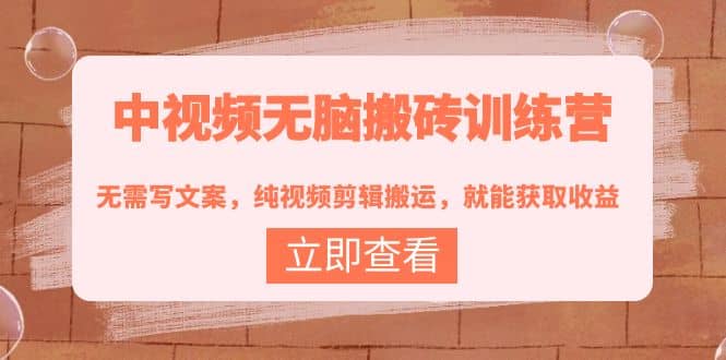 中视频无脑搬砖训练营:无需写文案,纯视频剪辑搬运,就能获取收益-无忧资源网