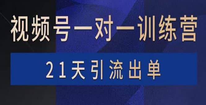 视频号训练营：带货，涨粉，直播，游戏，四大变现新方向，21天引流出单-无忧资源网