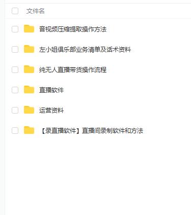 左小姐-直播带货俱乐部十三行、无人直播,全套教程附:工具、文档、话术资料-无忧资源网