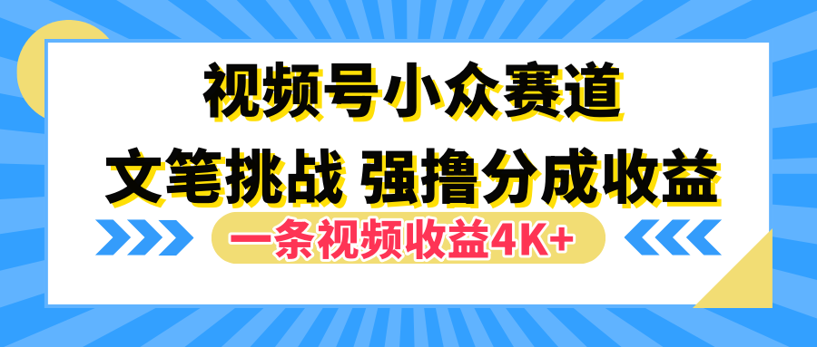 视频号小众赛道,文笔挑战,一条视频收益4K+-无忧资源网