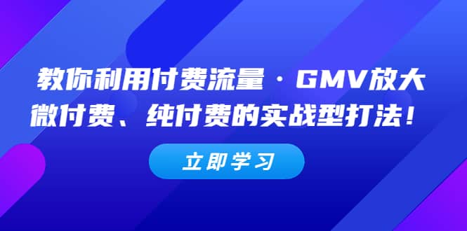 教你利用付费流量·GMV放大，微付费、纯付费的实战型打法-无忧资源网