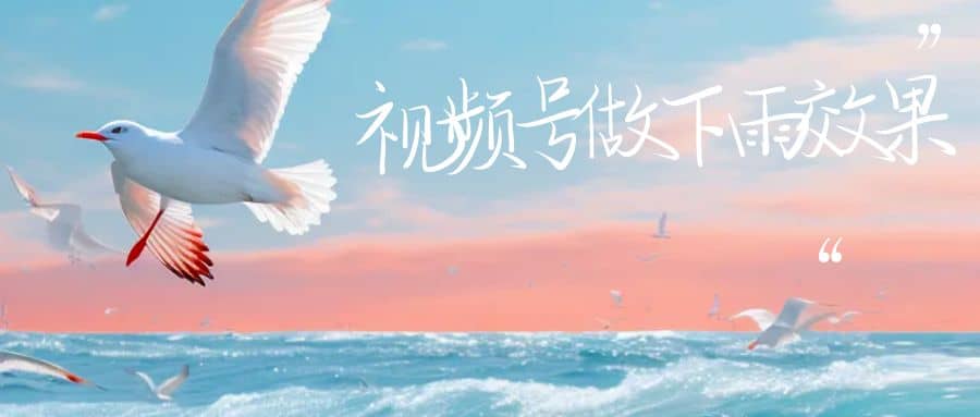 视频号做下雨视频一个账号一周涨粉10W+年入100w-无忧资源网