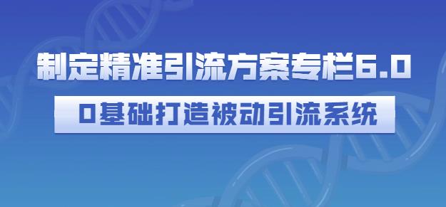 制定精准引流方案专栏6.0,0基础打造被动引流系统-无忧资源网
